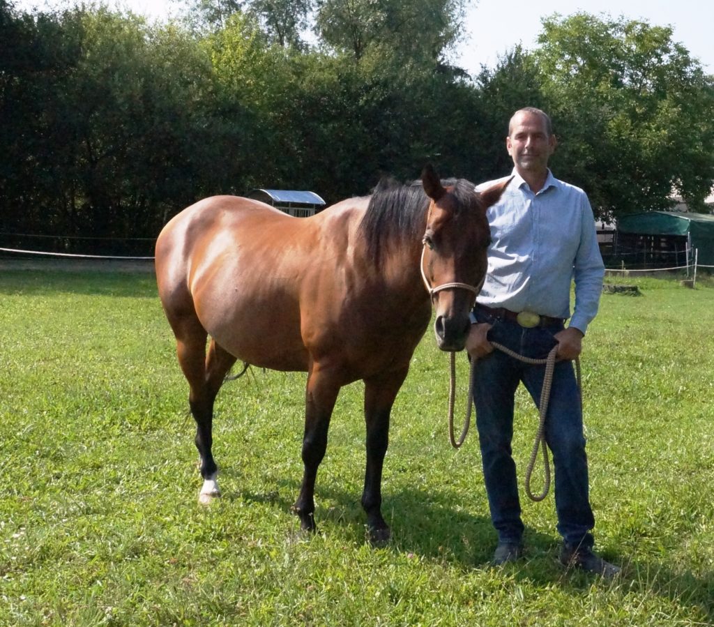 Pferdeflüstern Coconuts & Horses